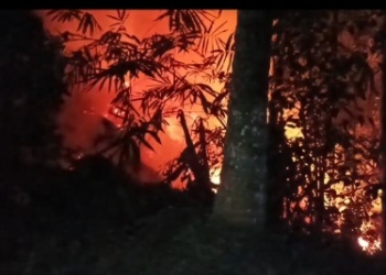 Kemarau Picu Kebakaran Hutan dan Lahan