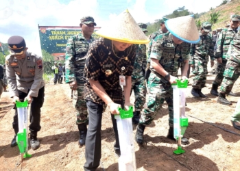 Forkompimda Banyumas Tanam Perdana Jagung di Samudera Kulon