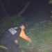 Pramuka Peduli Banyumas Evakuasi Pohon Tumbang Di Kecamatan Sumbang