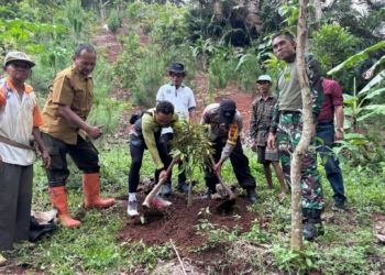 KLH dan Kodim Tanam 1.000 Bibit Pohon Durian Bawor untuk Penghijauan di Tambaknegara