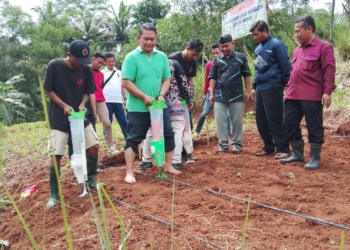 Bapas Kelas II Purwokerto Gelar Pelatihan Budidaya Jagung