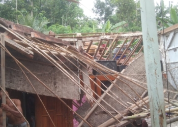 Hujan Lebat Sebabkan Tanah Longsor, Dua Rumah di Gumelar Rusak