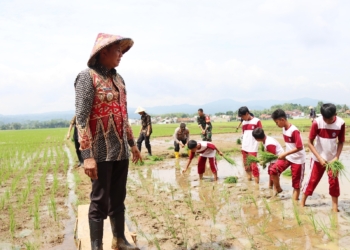 Iwannudin Launching Sawah Edukasi dan Resmikan Masjid SMP 2 Banyumas