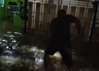 Perumahan di Karang Pucung Purwokerto Banjir, Ular Piton Muncul Bikin Warga Ketakutan