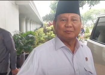 Heboh Effendi Simbolon Dipanggil PDIP, Prabowo Bilang Begini