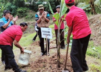 HUT PDIP ke-52, BHB Tanam Pisang di Kawasan Agriwisata Embung