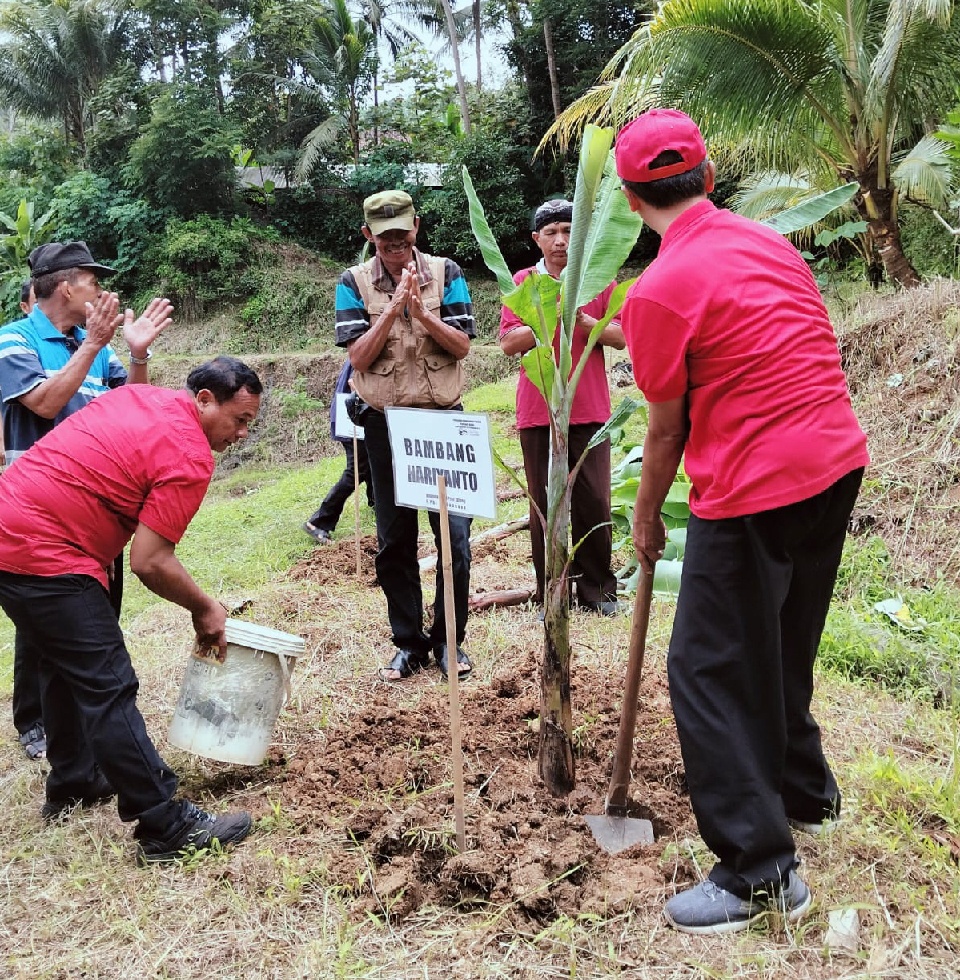 HUT PDIP ke-52, BHB Tanam Pisang di Kawasan Agriwisata Embung