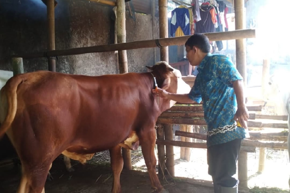 Dinkannak Banyumas Siap Lakukan Vaksinasi Hewan Ternak. (Humas Forkompim)