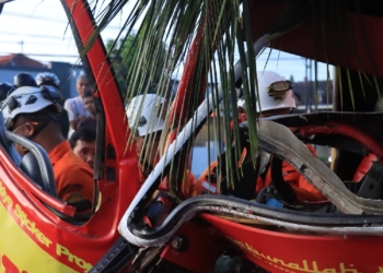 Truk Kontainer Pengangkut Beras Ditabrak Truk Janur, Dua Orang Meninggal Dunia