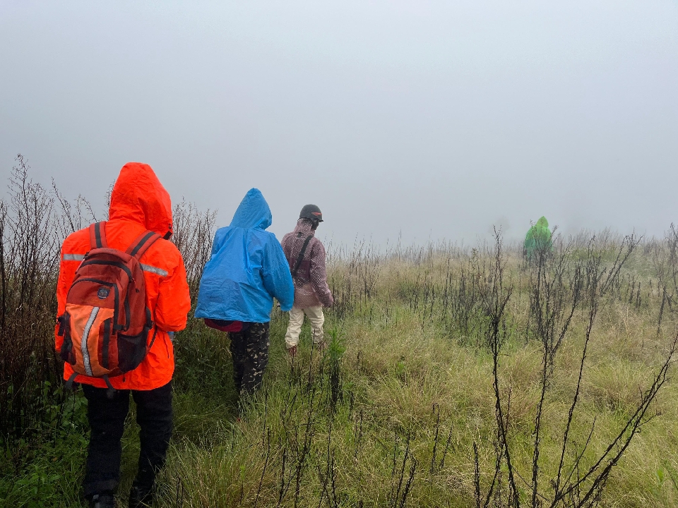 Tiga Pendaki Gunung Slamet yang Dikabarkan Hilang Kontak, Ditemukan Selamat