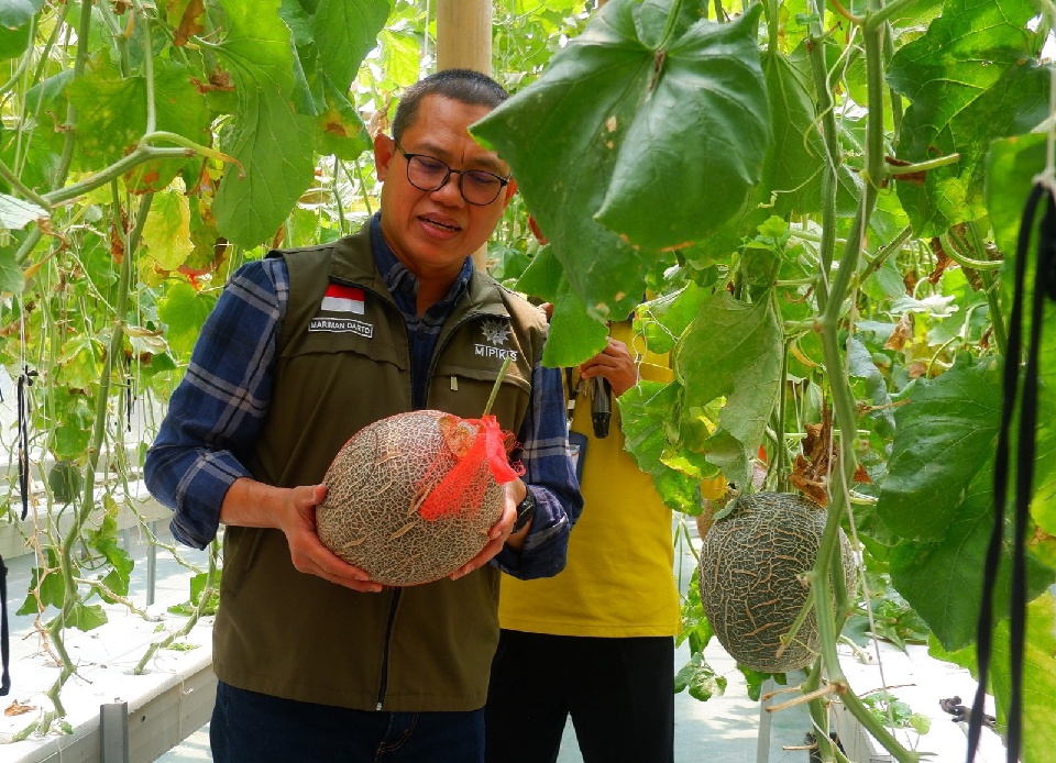 Dr. Mariman Darto Kunjungi Kebun Melon SMA Muhammadiyah 1 Cilacap: Tekankan Inovasi dan Kreativitas Sekolah