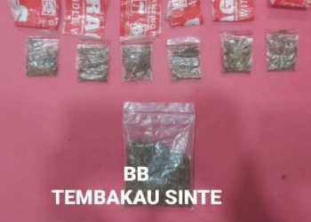 Sat Resnarkoba Polresta Banyumas Tangkap FP dengan Barang Bukti 43,37 Gram Tembakau Sintetis