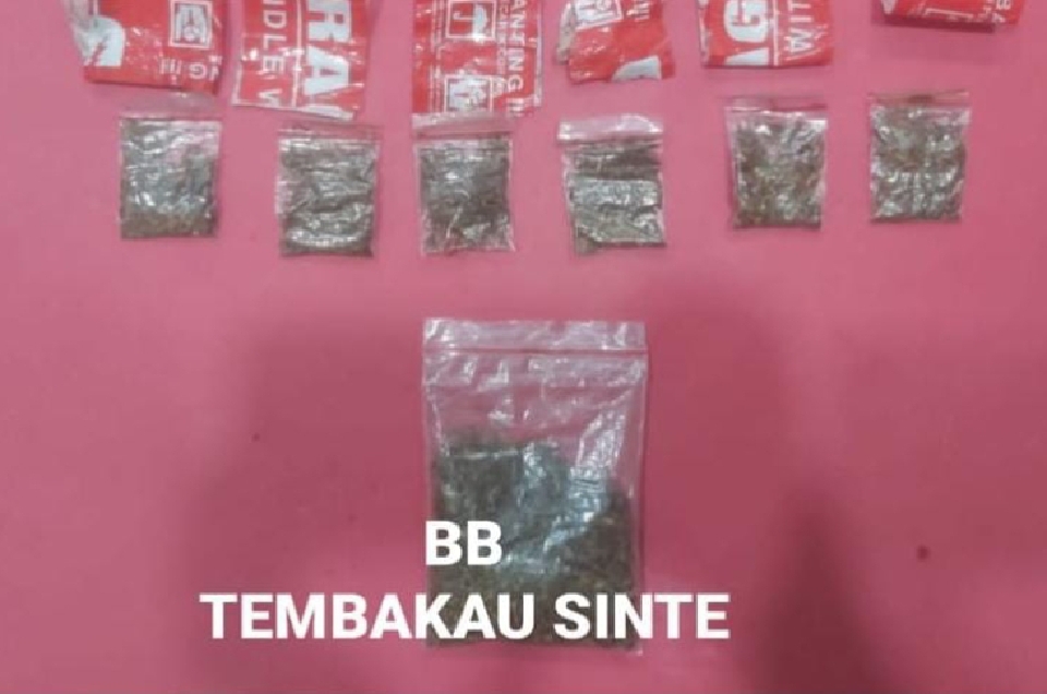 Sat Resnarkoba Polresta Banyumas Tangkap FP dengan Barang Bukti 43,37 Gram Tembakau Sintetis