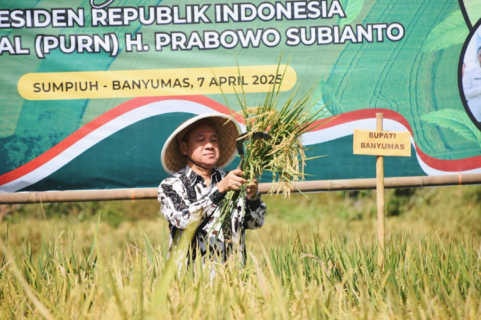 Bupati Banyumas Hadiri Panen Padi Serentak Bersama Presiden RI Secara Daring