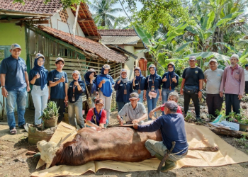 PNM Teruskan Bentuk Syukur HUT ke-26 Lewat Sedekah Kurban di 26 Titik
