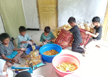 Liburan Sekolah, Anak-Anak di Panembangan Bantu Produksi Keripik Pisang