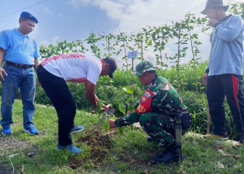 Dari Meja Hijau ke Hutan Hijau, Peradi SAI Hijaukan Lereng Gunung Slamet