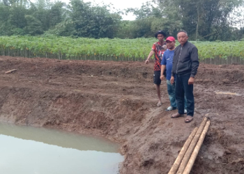 Bermain di Embung, Anak 7 Tahun di Pejogol Tewas Tenggelam