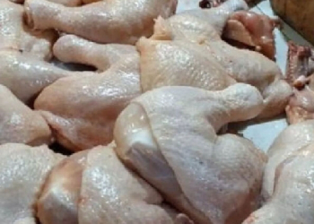 Harga Daging Ayam Naik, Waspadai Peredaran Ayam Tiren
