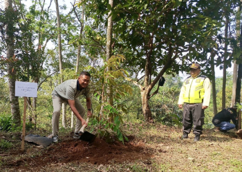 PLN Indonesia Power Tanam 1.300 Pohon di Lereng Gunung Slamet untuk Jaga Pasokan Air PLTA Ketenger