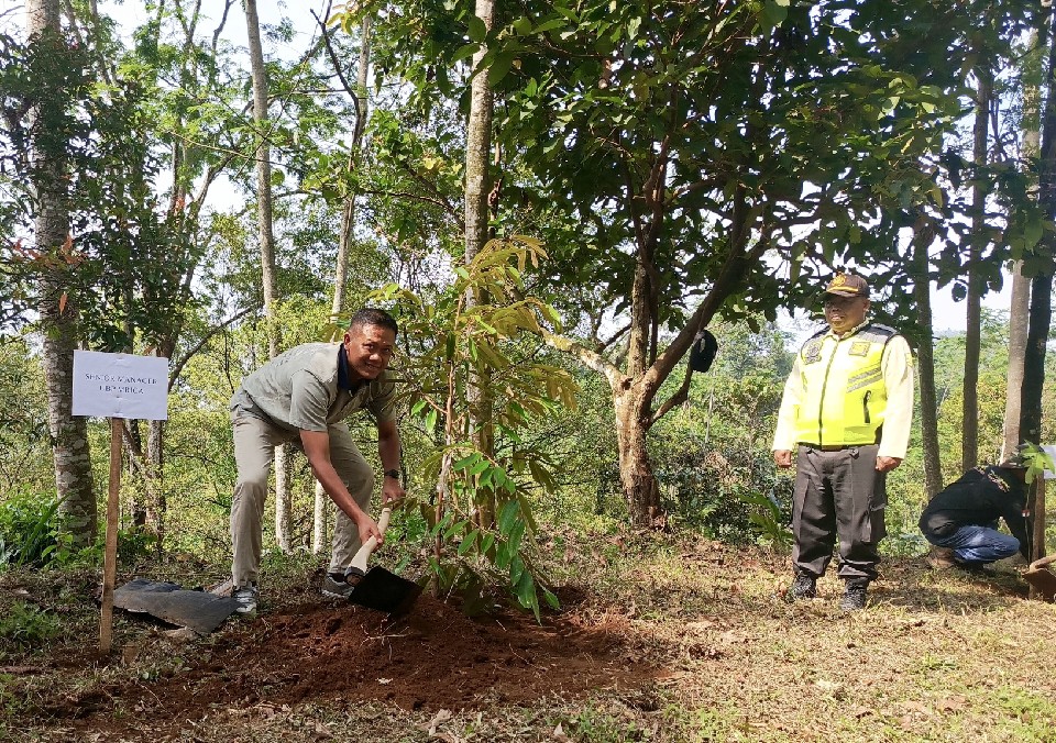 PLN Indonesia Power Tanam 1.300 Pohon di Lereng Gunung Slamet untuk Jaga Pasokan Air PLTA Ketenger