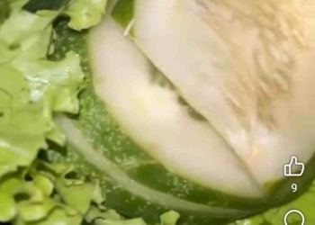 Duh, Ditemukan Belatung dalam Menu MBG di Patikraja