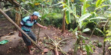 Marak Pencurian Unggas, Warga Dusun Kurung Ayam Cilongok Resah
