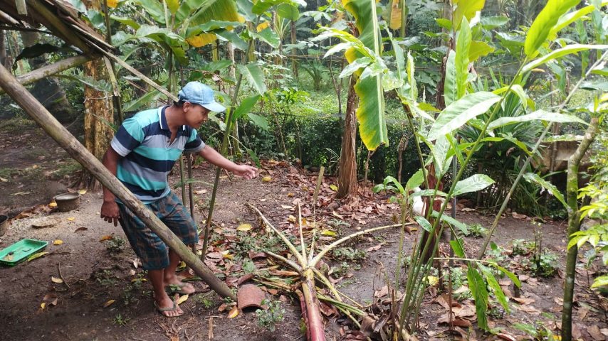 Marak Pencurian Unggas, Warga Dusun Kurung Ayam Cilongok Resah