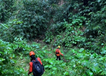 Hari Kelima, Pencarian Sumyati di Hutan Makamdawa Belum Berhasil