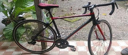 Sepeda Senilai Rp11 Juta milik Seorang Dokter Digondol Maling, Polisi Langsung Ringkus Pelaku