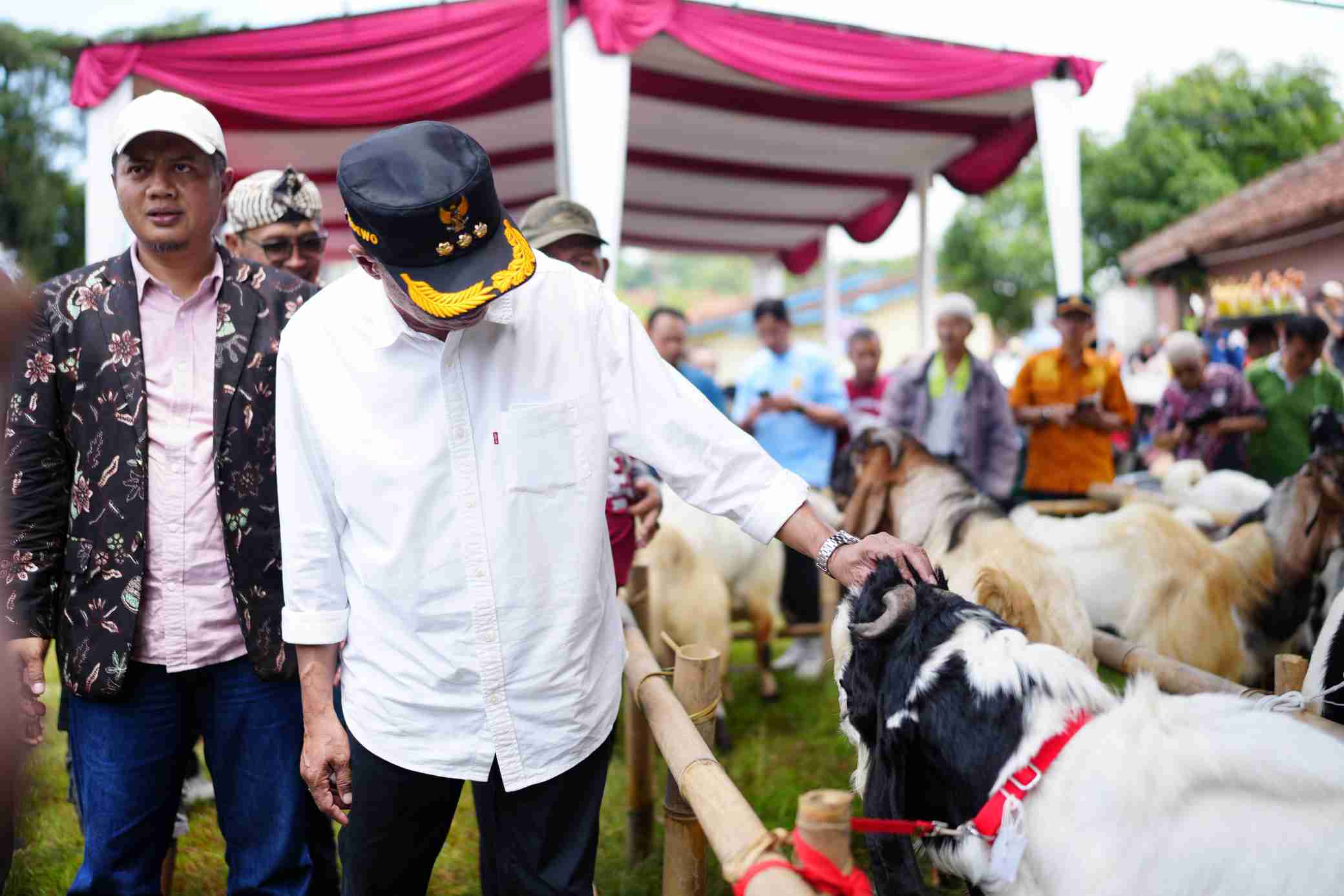 Bibit Unggul Jadi Fokus Festival Kambing Lumbir