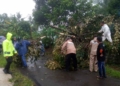 Angin Puting Beliung Terjang Cilongok, 27 Rumah Rusak