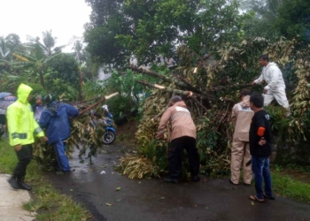 Angin Puting Beliung Terjang Cilongok, 27 Rumah Rusak