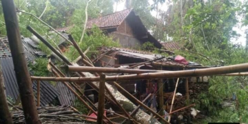 Bencana Banyumas 28 Maret 2026: Dua Pohon Tumbang Akibat Cuaca Ekstrem, Ini Call Center BPBD