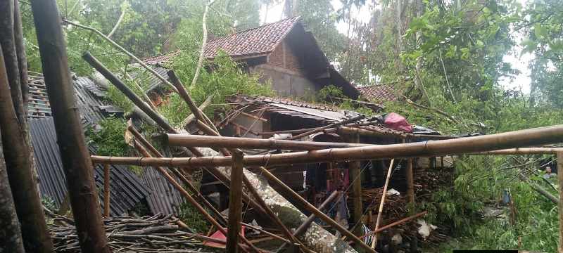 Bencana Banyumas 28 Maret 2026: Dua Pohon Tumbang Akibat Cuaca Ekstrem, Ini Call Center BPBD
