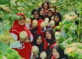 Panen Perdana Melon BUMDes Sokaraja Kidul Tembus 400 Kg, Diserbu Warga untuk Wisata Petik