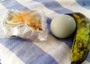 FMP2M Sentil Keras Menu MBG : Banyak yang Berakhir Terbuang