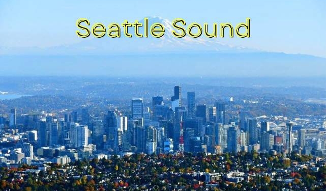 Kota Hujan, Tiga Kord, dan Sebuah Revolusi: Kisah Grunge dari Seattle dan Para Legendanya