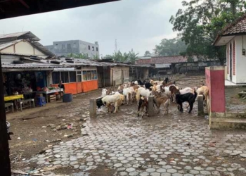DPRD Banyumas Usulkan Pembangunan Atap Pasar Hewan Cilongok, Anggaran Diproyeksikan Rp1,5 Miliar