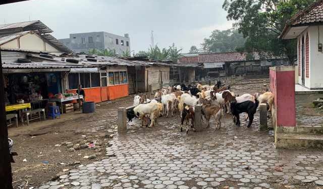 DPRD Banyumas Usulkan Pembangunan Atap Pasar Hewan Cilongok, Anggaran Diproyeksikan Rp1,5 Miliar