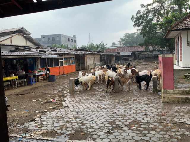 DPRD Banyumas Usulkan Pembangunan Atap Pasar Hewan Cilongok, Anggaran Diproyeksikan Rp1,5 Miliar
