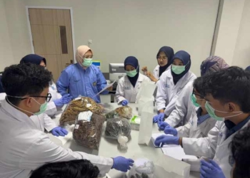 Mahasiswa FK UMP Praktik Langsung Pembuatan Jamu Saintifikasi di Laboratorium Herbal