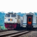 Insiden Kereta di Bekasi, KAI Daop 5 Purwokerto Minta Maaf dan Batalkan 11 Perjalanan