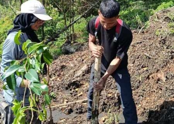 Komunitas Patanjala Purbalingga Tanam 5.000 Pohon di Lereng Gunung Slamet