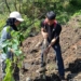 Komunitas Patanjala Purbalingga Tanam 5.000 Pohon di Lereng Gunung Slamet