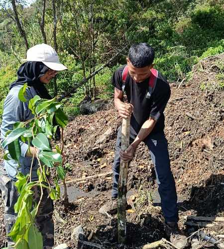 Komunitas Patanjala Purbalingga Tanam 5.000 Pohon di Lereng Gunung Slamet