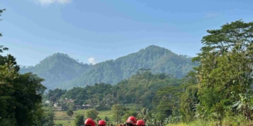 Hari Kelima Pencarian, Tim SAR Gabungan Belum Temukan Korban Tenggelam di Sungai Kreteg Kebumen