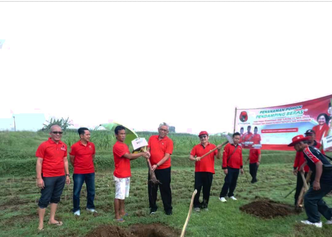 Peringati Hari Kartini dan Hari Bumi, PDI Perjuangan Banyumas Tanam Ratusan Bibit Pisang di Sumbang