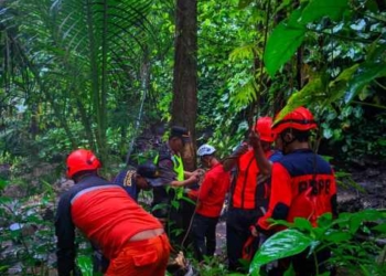 Pria 32 Tahun Ditemukan Meninggal di Curug Ciputut Purbalingga, Tim SAR Evakuasi dari Tebing 35 Meter
