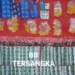 Polisi Ungkap Jaringan Narkoba di Banyumas, Dua Pengedar dengan Ribuan Butir Obat Diamankan